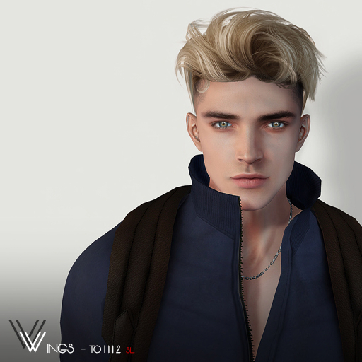 Second Life Marketplace WINGSHAIRTO1112 Gray (Pack)